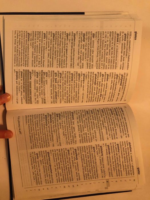 słownik wyrazów obcych