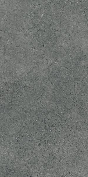 Płytka podłogowa Paradyż Authority Graphite Mat 60x120 cm Gat.1