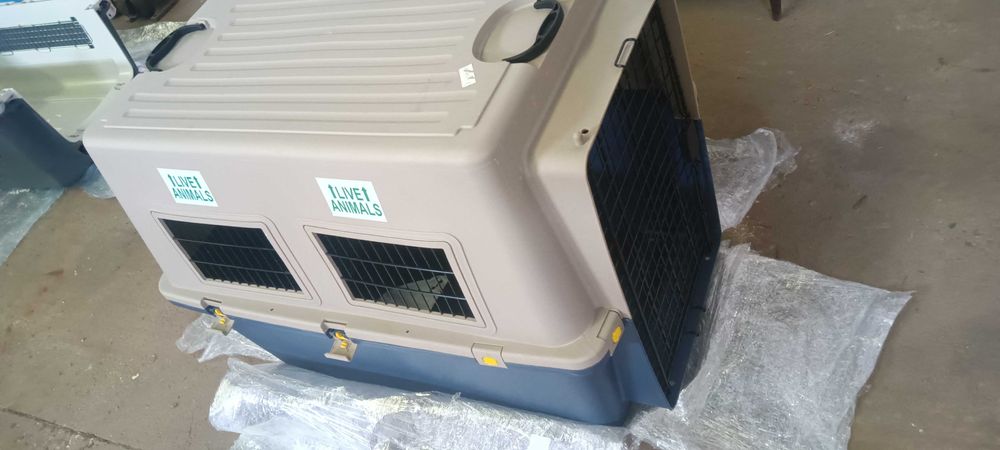 Caixas para pets porte médio