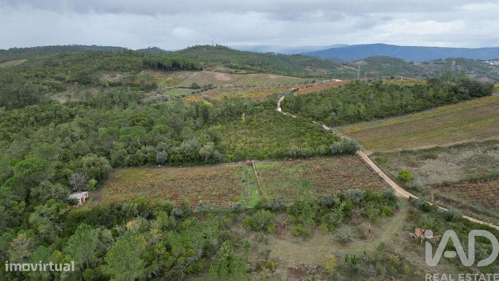 Terreno Agrícola em Condeixa-a-Velha e Condeixa-a-Nova