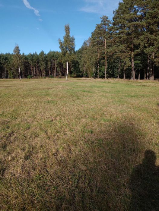 Działka w Radawie.