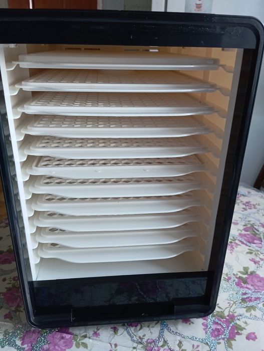 Сушарка для овочів, фруктів, ковбаси   WetAir FD-550