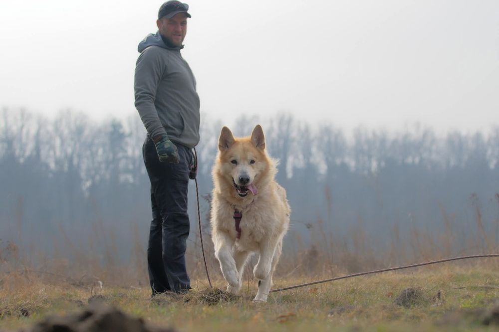 Sigma, stracił wszystko po śmierci opiekuna