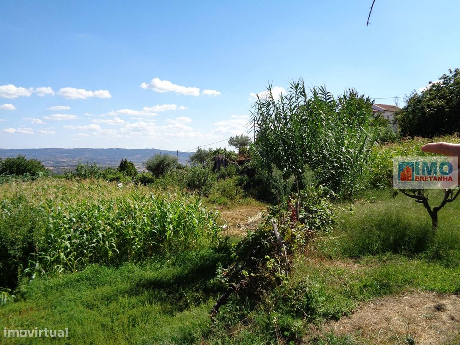 Lote de Terreno  Venda em Cantar-Galo e Vila do Carvalho,Covilhã — Cantar-Galo E Vila Do Carvalho, Castelo Branco
