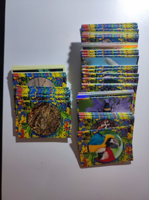 Coleção Mundo Animal 1001 cores - 294 Cromos