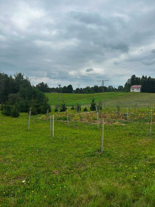Działka budowlana