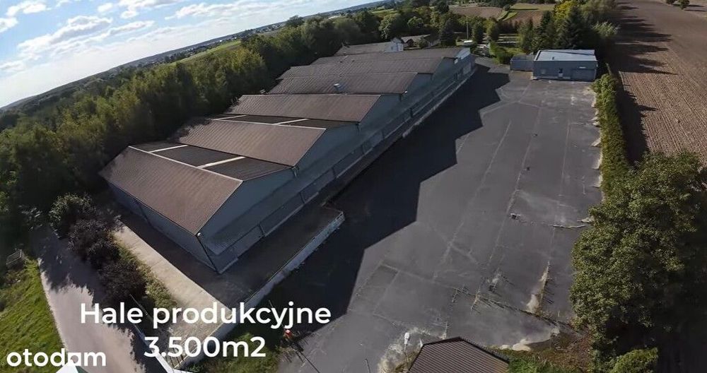 obiekt magazyn.-produkcyjny 3600m2 Wolsztyn-Leszno