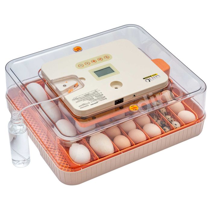 Inkubator WYLĘGARKA automatyczna DINO PRO 56 jaj kaczek gęsi 12V 230V