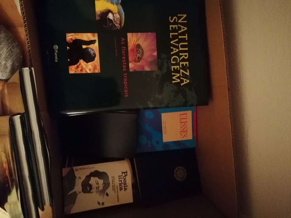 Lote de livros vários
