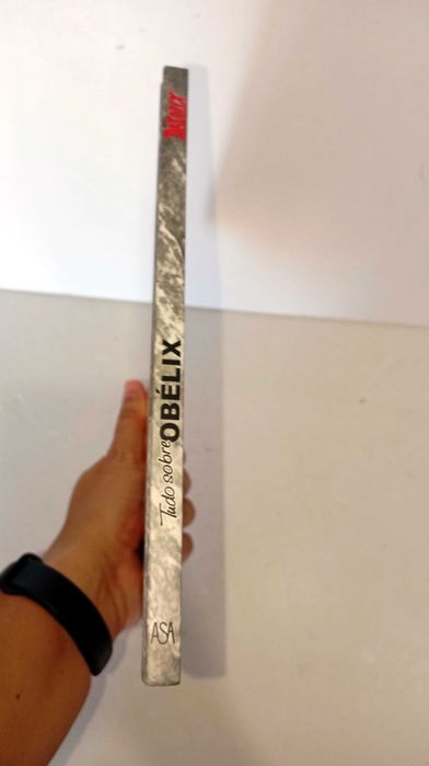 Asterix - Tudo sobre Obélix