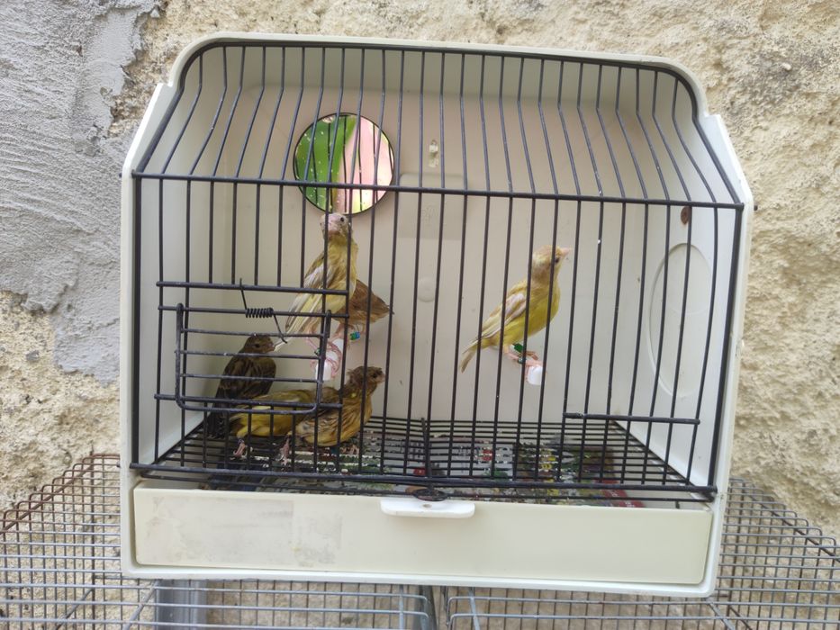 Miniaturas espanholas
