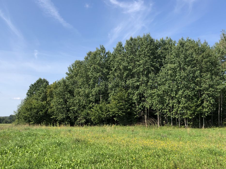 Działki budowlane rolne