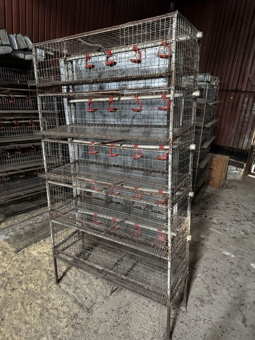 Продам клетки для перепелов