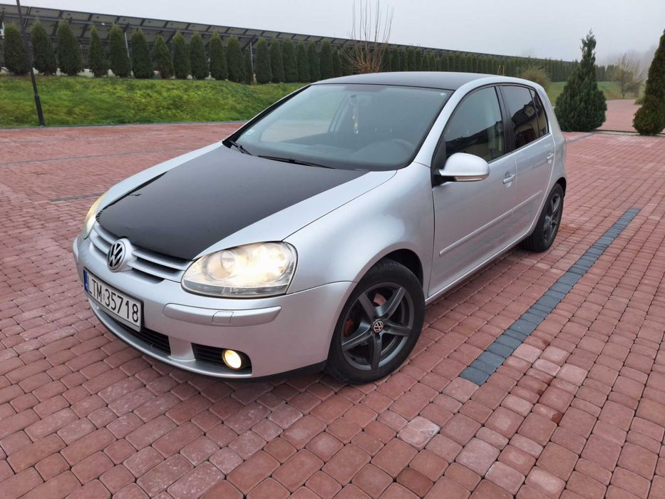 Volkswagen Golf V 1.9 TDI 2006r.