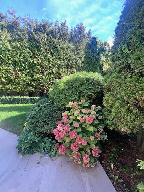 Будинок за адресою Куликове поле пл. (площа 387 м²) - Atlanta.ua - фото 4