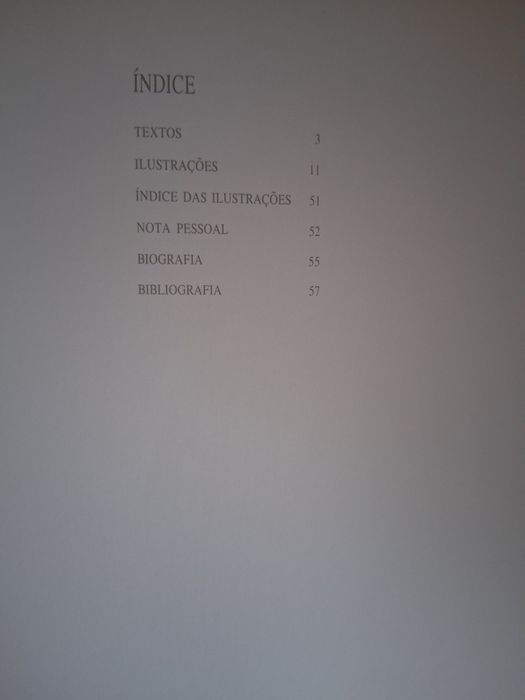 Pintor António de Macedo