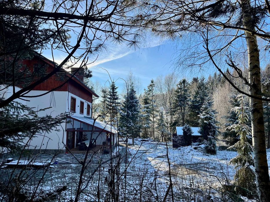 Wynajmę dom w górach Sowich (do 12 osób) na Ferie 2026