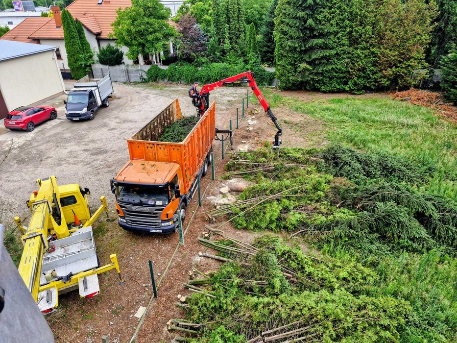 Wycinanie i skracanie drzew, przycinanie i formowanie żywopłotów