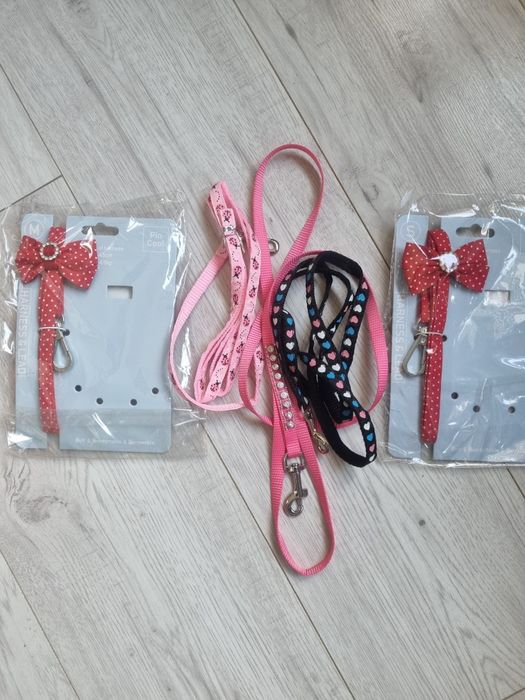 Nowe smycze dla pieska