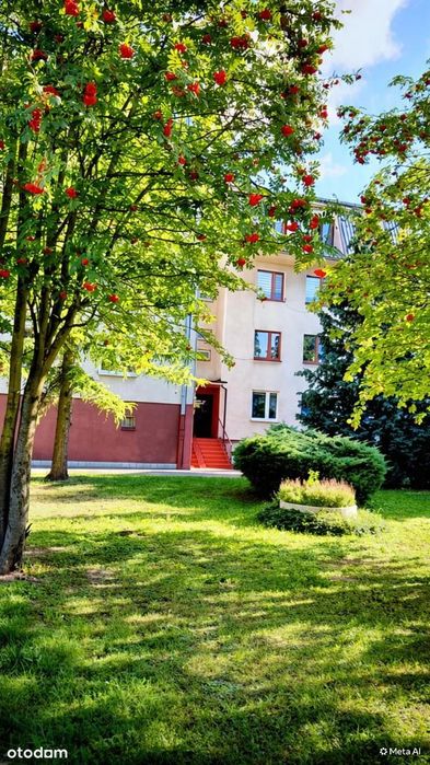 mieszkanie na sprzedaż 62 m2 Rypin