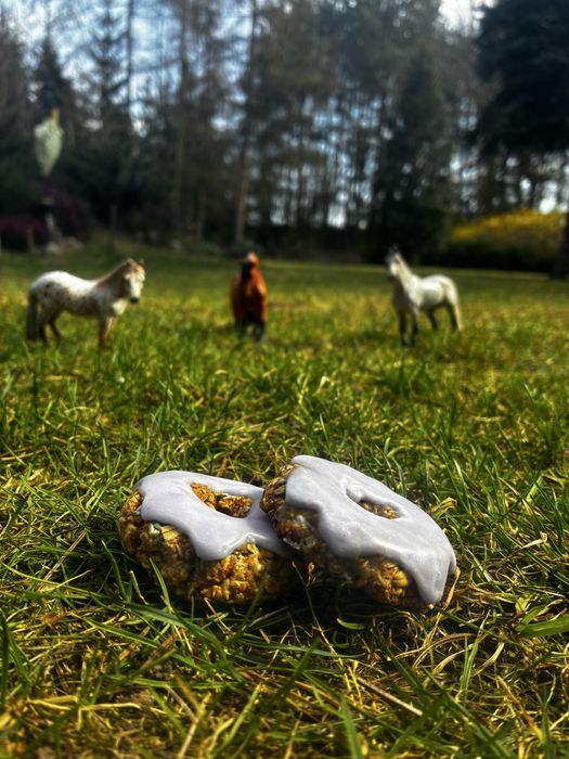 Horse donuts, przysmaki, ciastka z lukrem dla koni