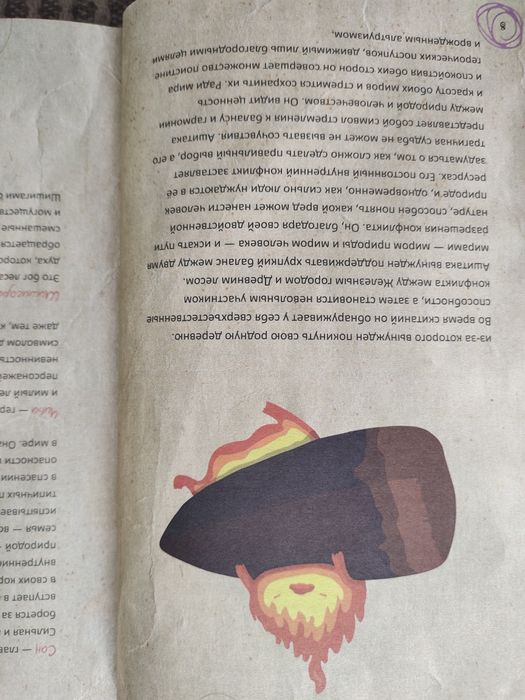 Фанатская книга Хаяо Миядзаки аниме