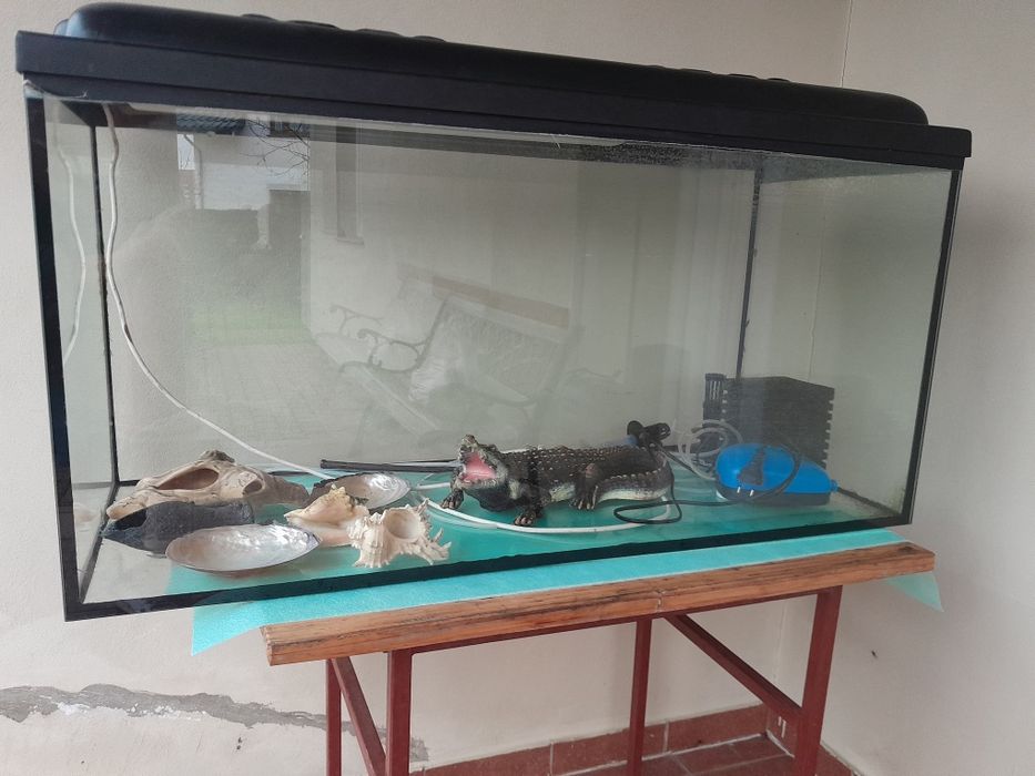 Akwarium z wyposażeniem sprzedam tanio
