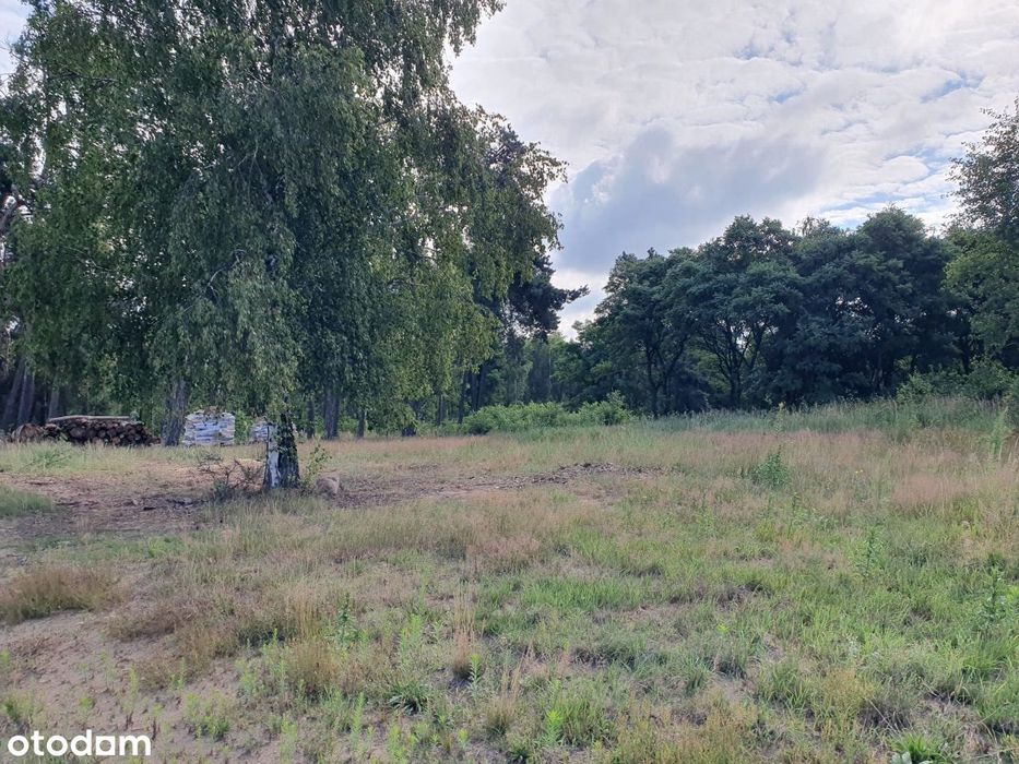Sprzedam działkę w Starych Skoszewach - Widok 3
