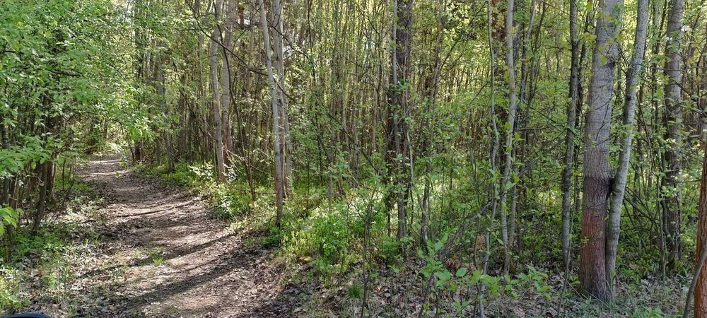 Działki na ul. Las Rzeczki Ostrowiec Św.