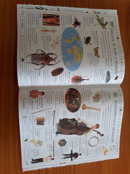 Livro "Enciclopédia Infantil Ilustrada"