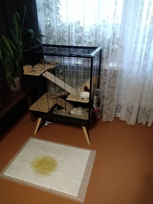 Клітка для пацючка