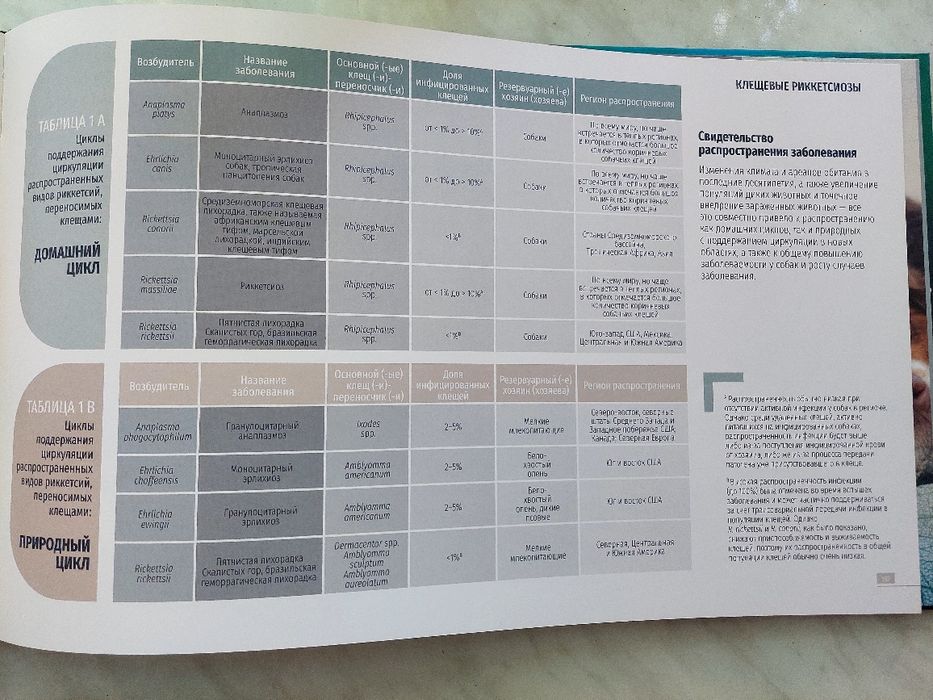 Трансмісивні хвороби собак