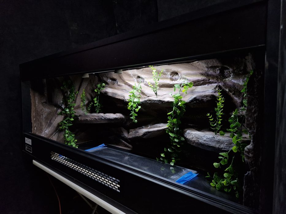 Terrarium Płyta Meblowa Producent GadziLandia Agama Gekon Waz