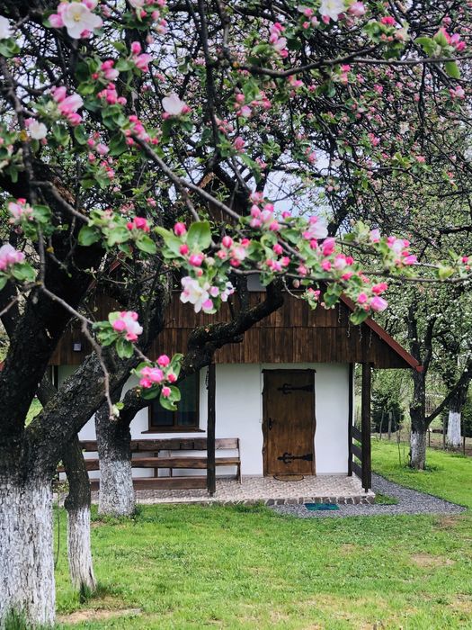 Садиба ЕКО-ДІМ, з власним Чаном та басейном відпочинок в Закарпатті