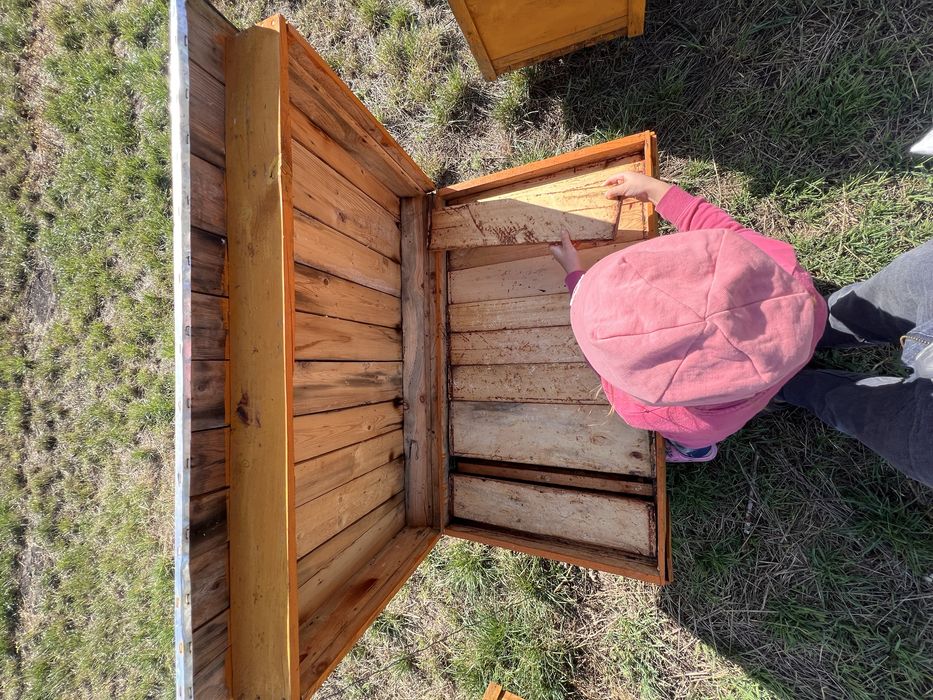 Вулики дадан на 22 рамки як нові