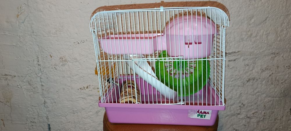 Klatka dla chomika
