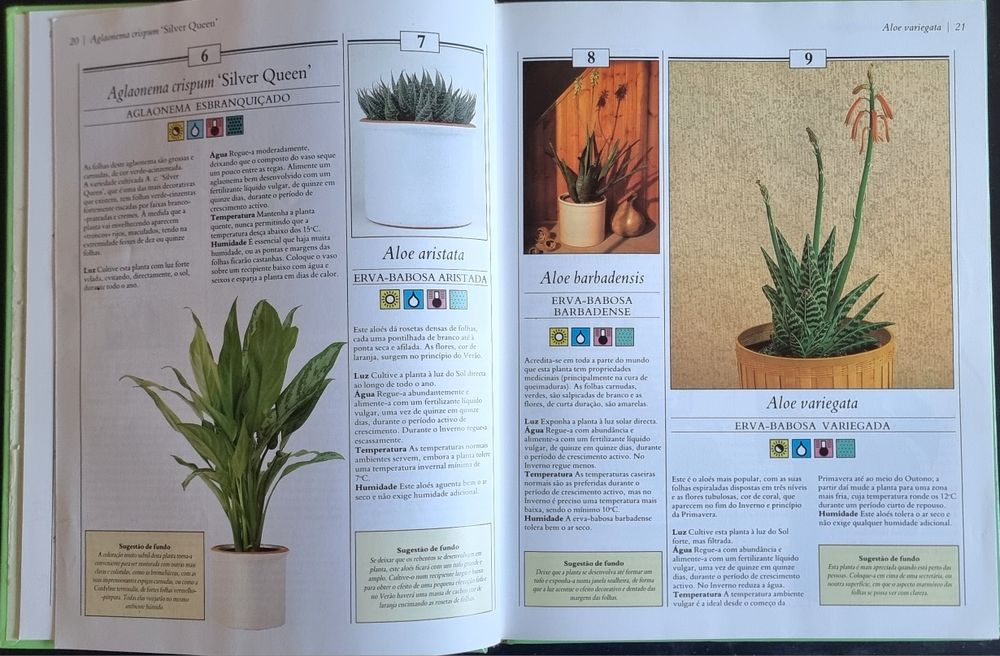 200 Plantas de Interior