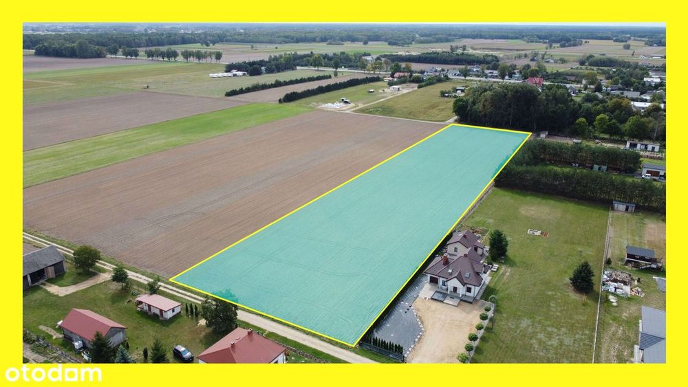 Działka 1,3 ha w Żabcach – idealna pod podział na mniejsze działki