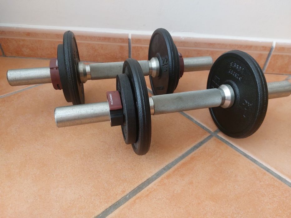 Conjunto de halteres