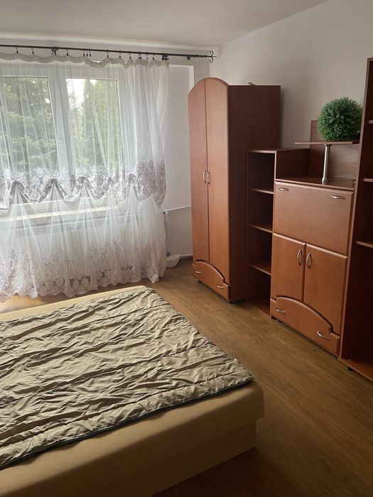 Wynajem dom długoterminowy