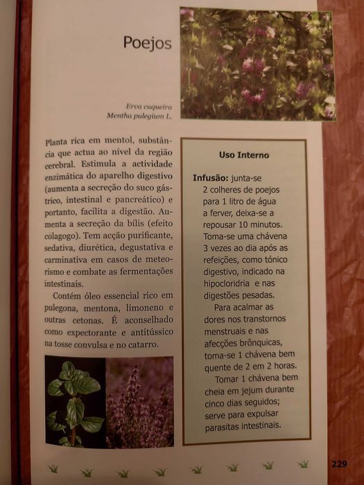 Livros Viva Melhor