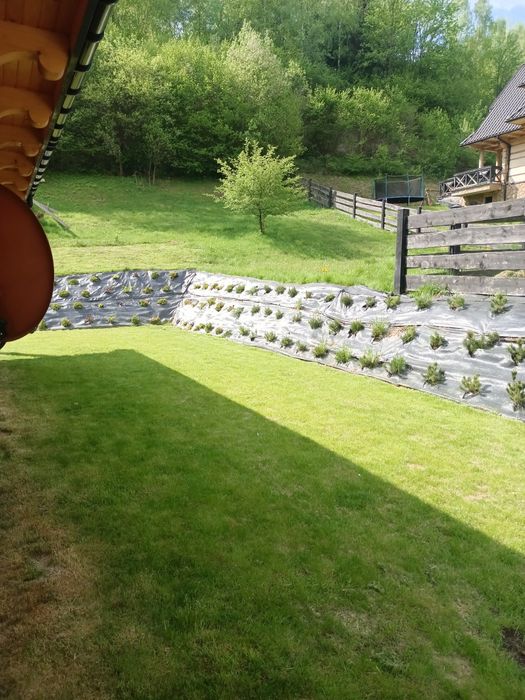 Dom w górach na wynajem Pieniny  Gorce  Szczawnica, 14 osób, sauna