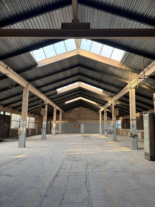 Hala produkcyjna/magazynowa 560 m2 i wiata magazynowa 410m2