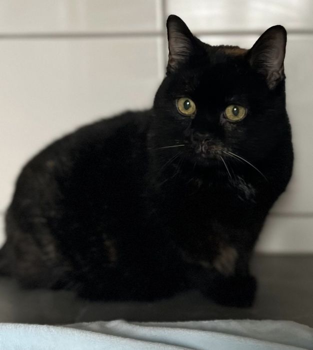 To Merry ...błagam o szansę dla niej ...