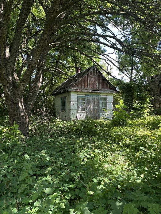 Продаж будинка в селі Радочини. 32 соткі. Кременчуцький район.