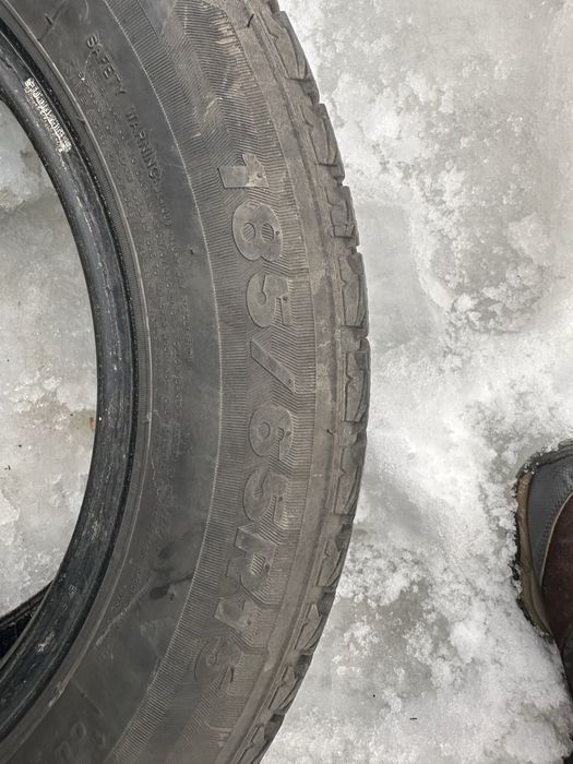 Продам два ската