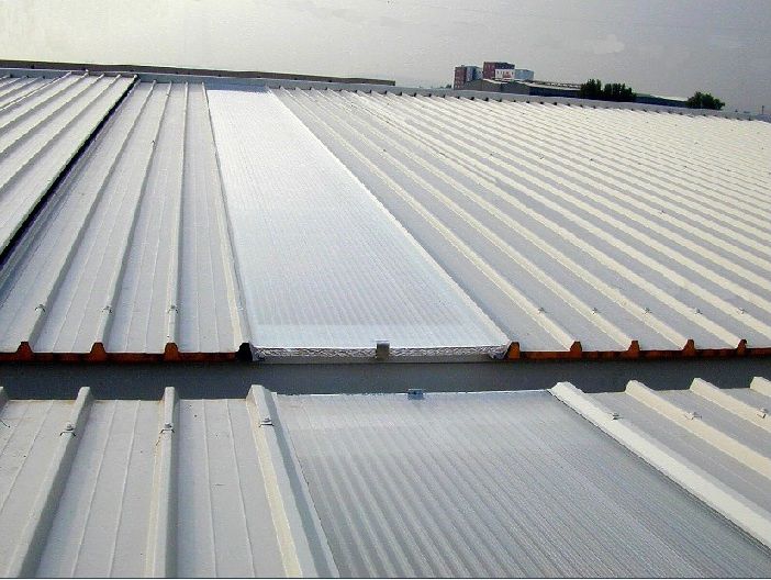 Świetlik dachowy Alfa Roof Premium 30mm/1000mm - Śrem