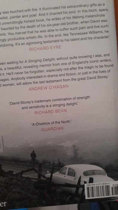 Livro Ingles A Stinging delight Capa Dura