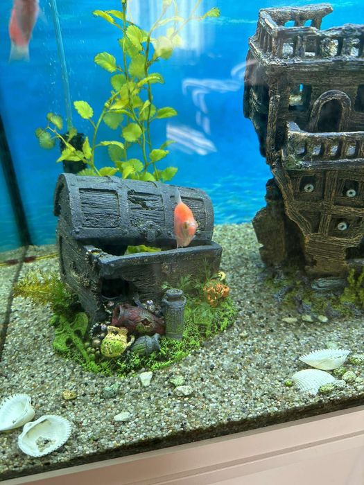 Аквариум  Juwel Германия