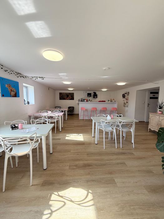 Sprzedam działającą bawialnię